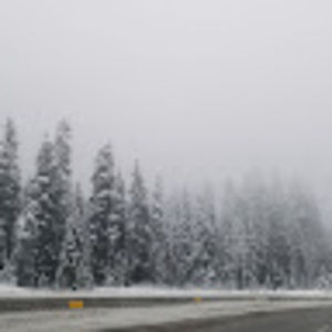 Meet your Posher, Sun